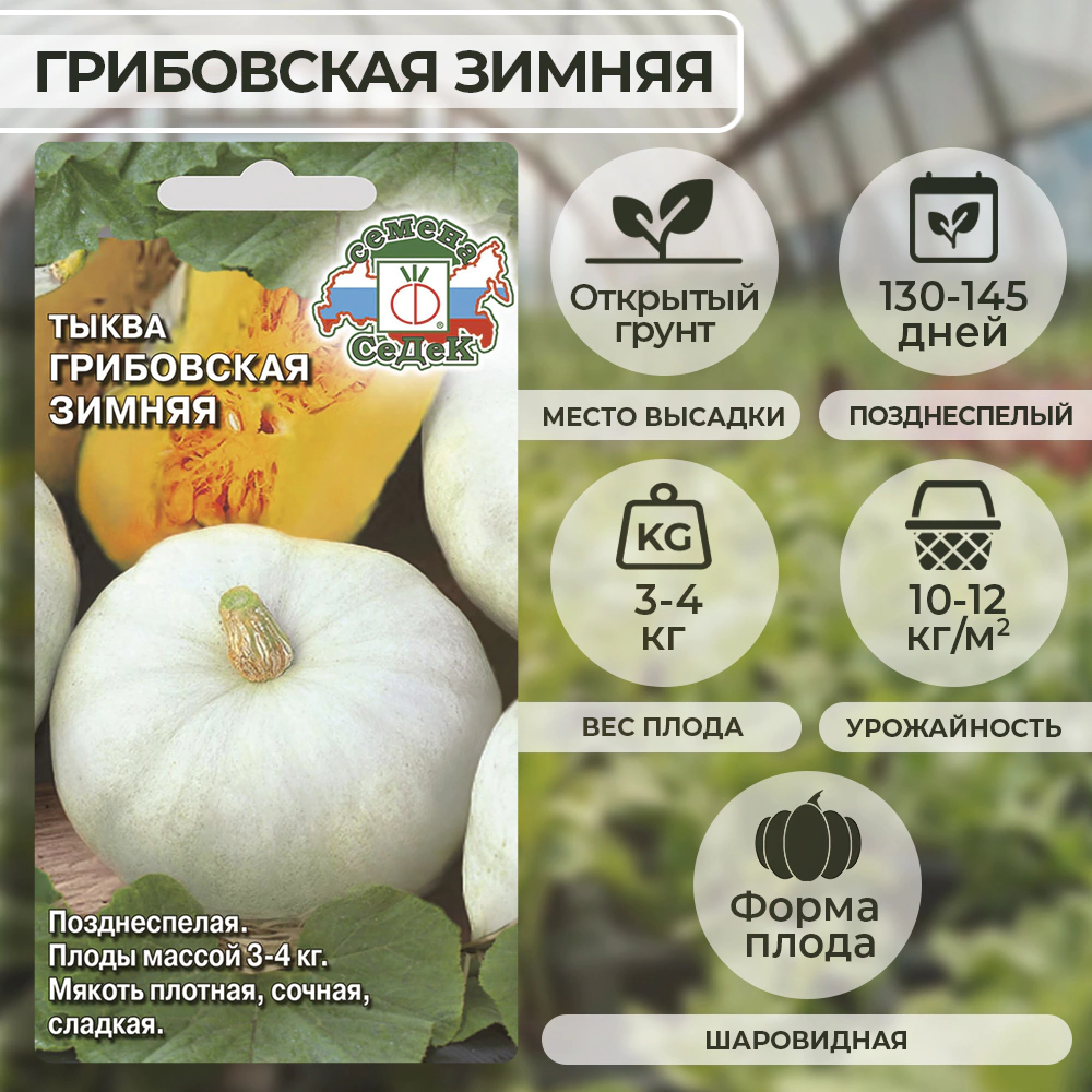 Тыква Грибовская зимняя Евро 2 г