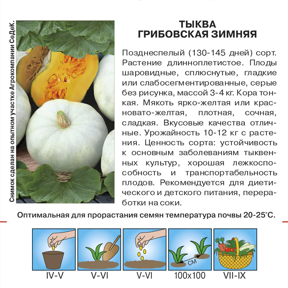 Тыква Грибовская зимняя Евро 2 г