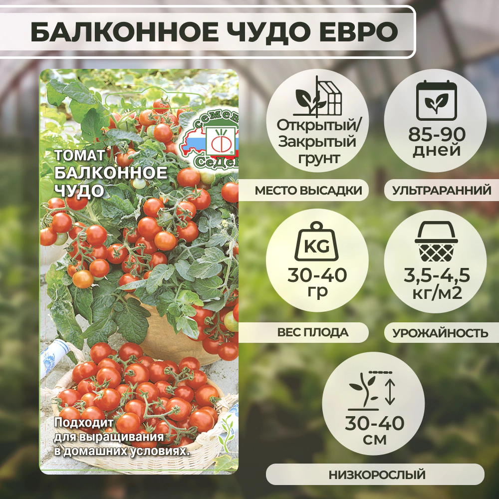 Томат Балконное чудо Евро 0,1 г