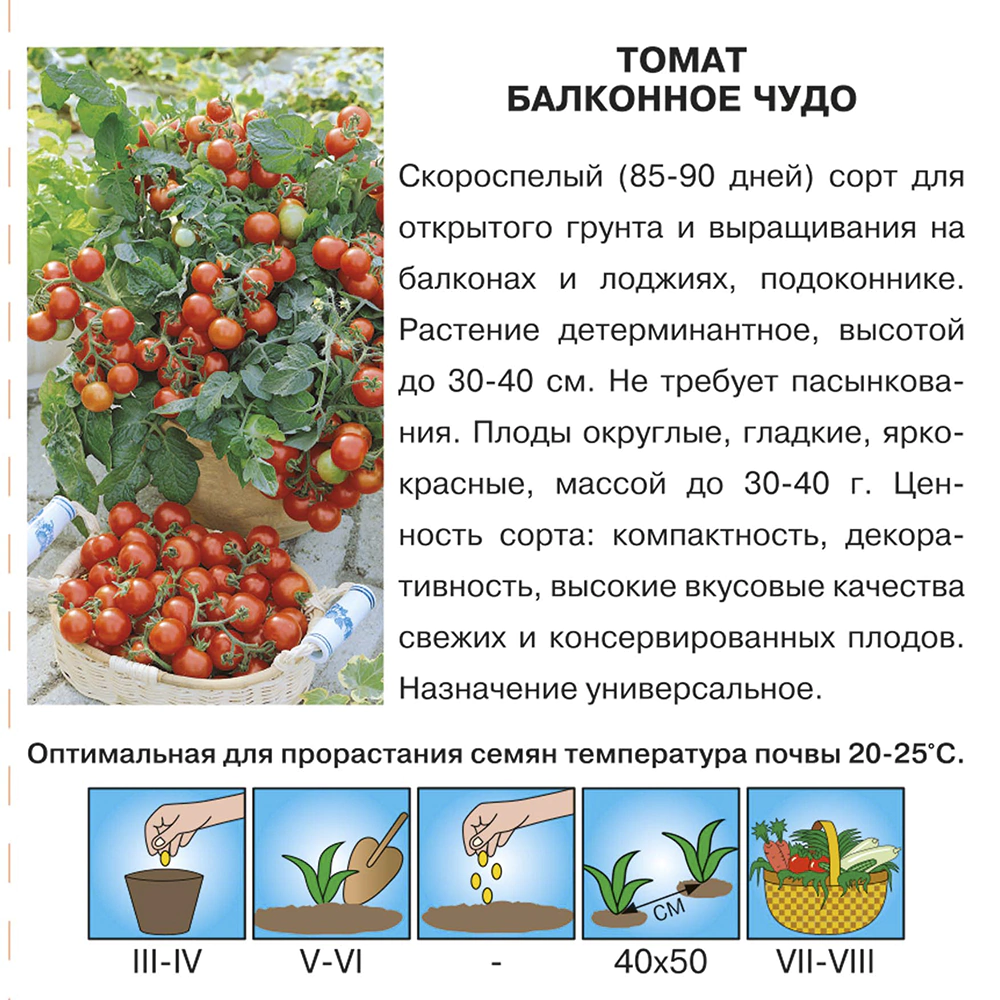 Томат Балконное чудо Евро 0,1 г