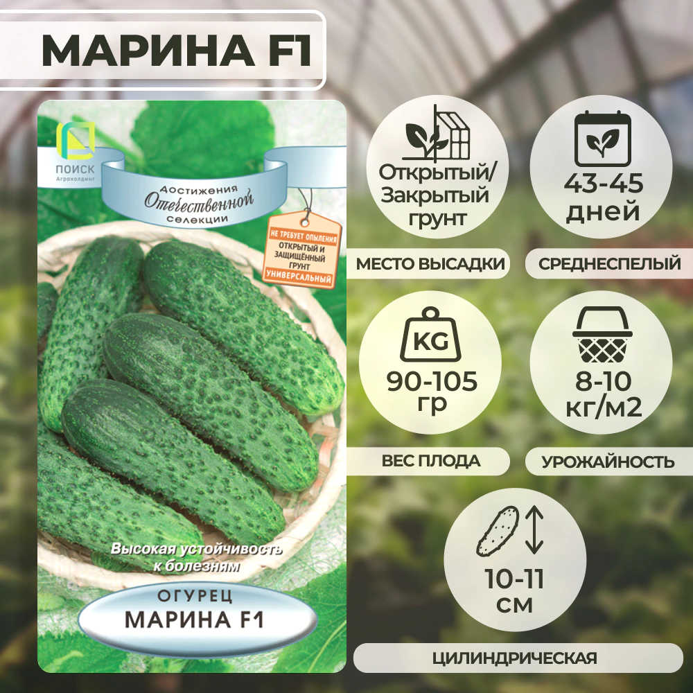 Огурец Марина F1, 12 шт