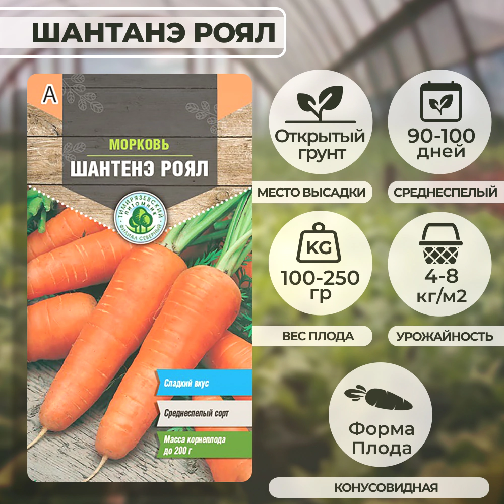 Морковь Шантанэ Роял 2 г