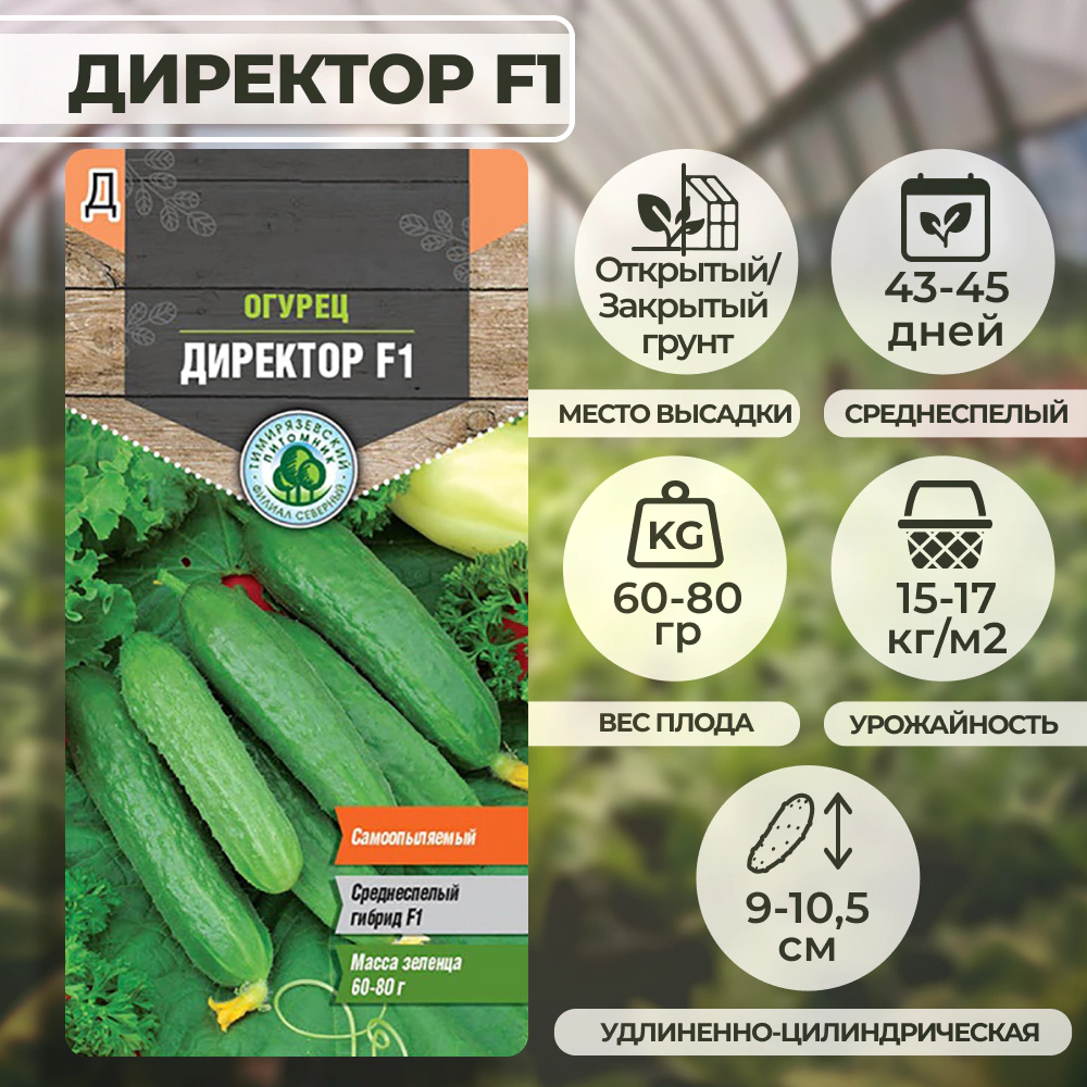 Огурец Директор F1, 4 шт