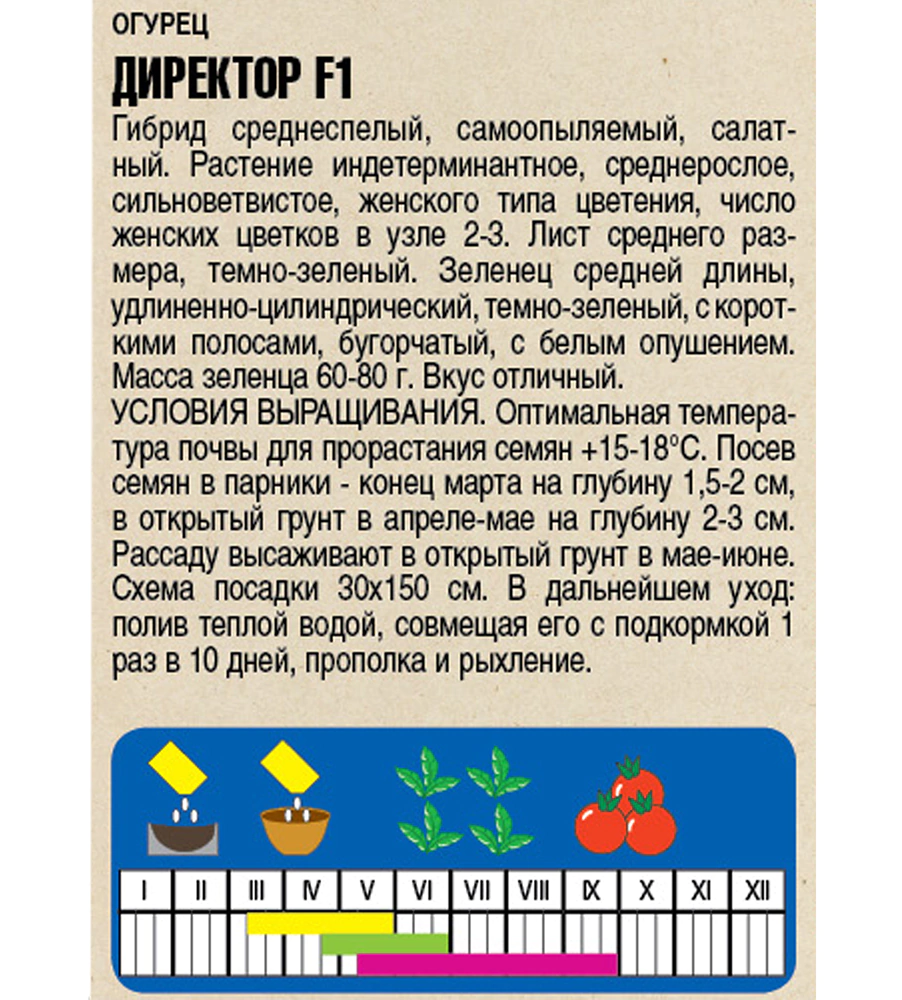 Огурец Директор F1, 4 шт