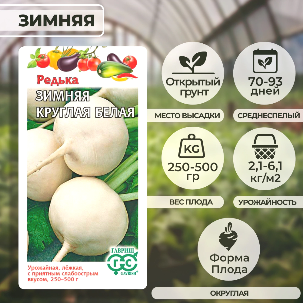 Редька Зимняя круглая белая 2 г