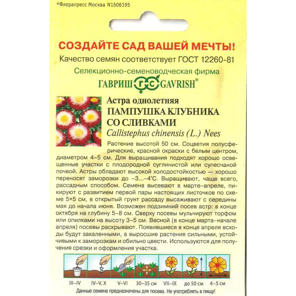 Астра помпонная Пампушка клубника со сливками 0,3 г