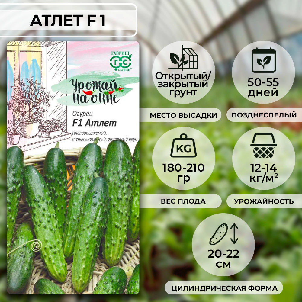 Огурец Атлет F1, 10 шт серия Урожай на окне