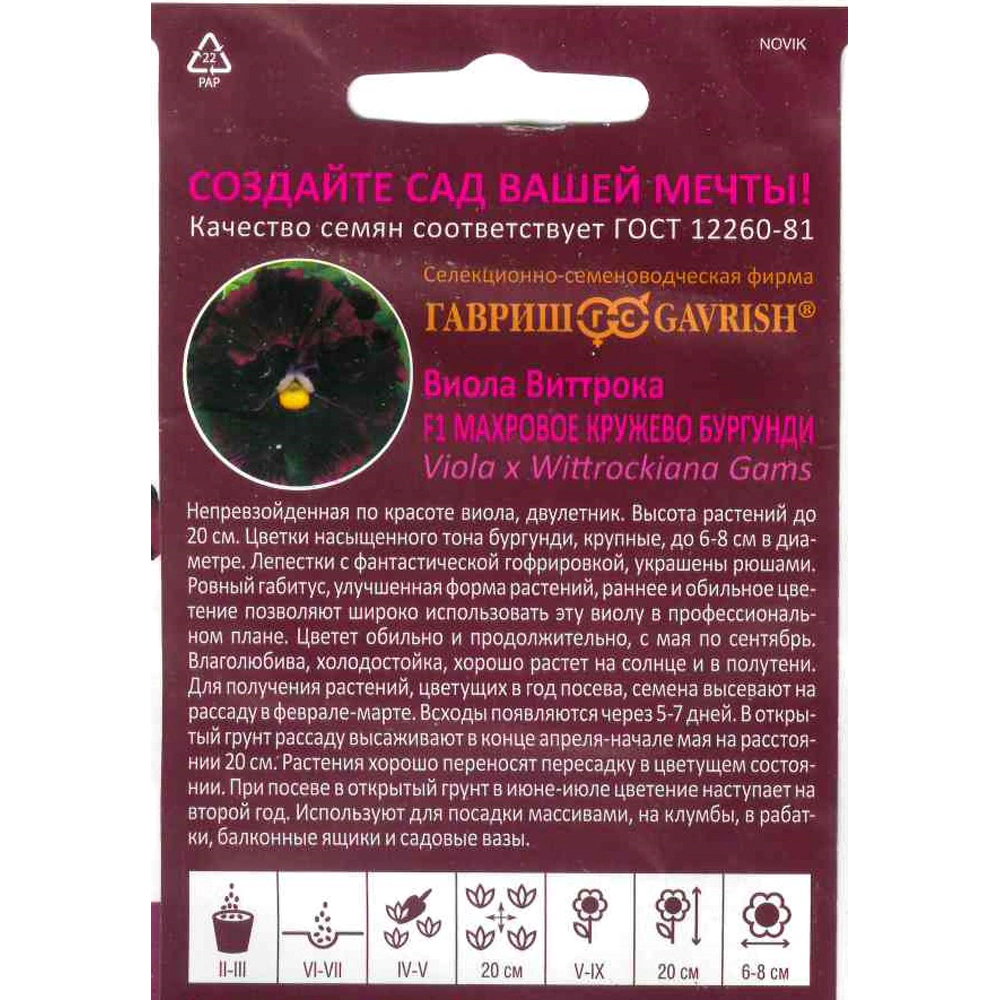 Виола виттрока Махровое кружево бургунди F1, 4 шт