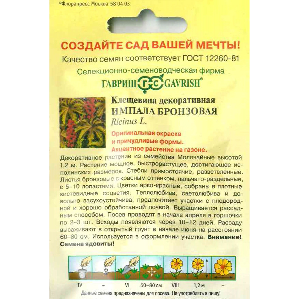 Клещевина Импала бронзовая 5 шт