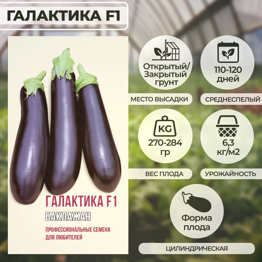 Баклажан Галактика F1, 5 шт