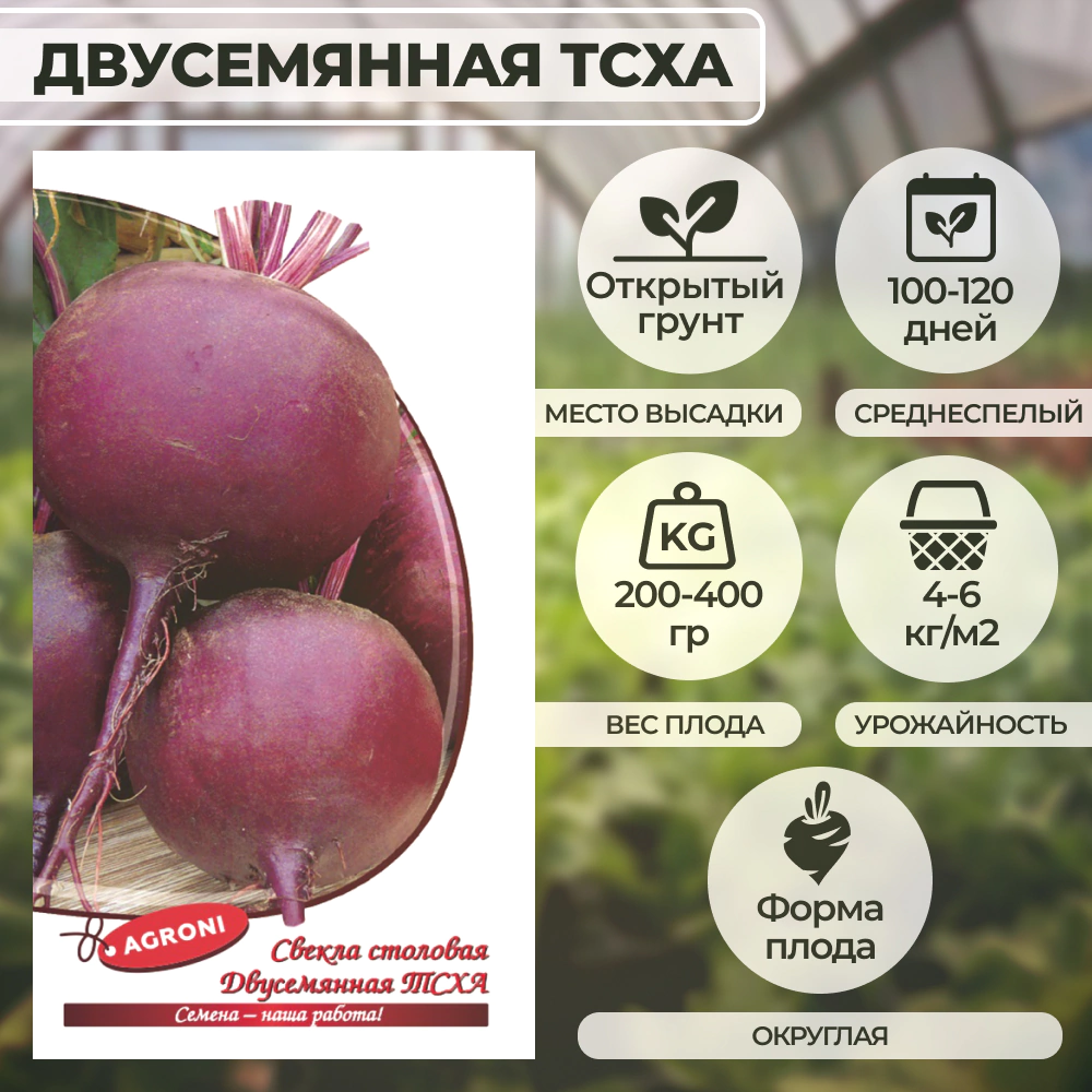 Свекла Двусемянная ТСХА 2 г