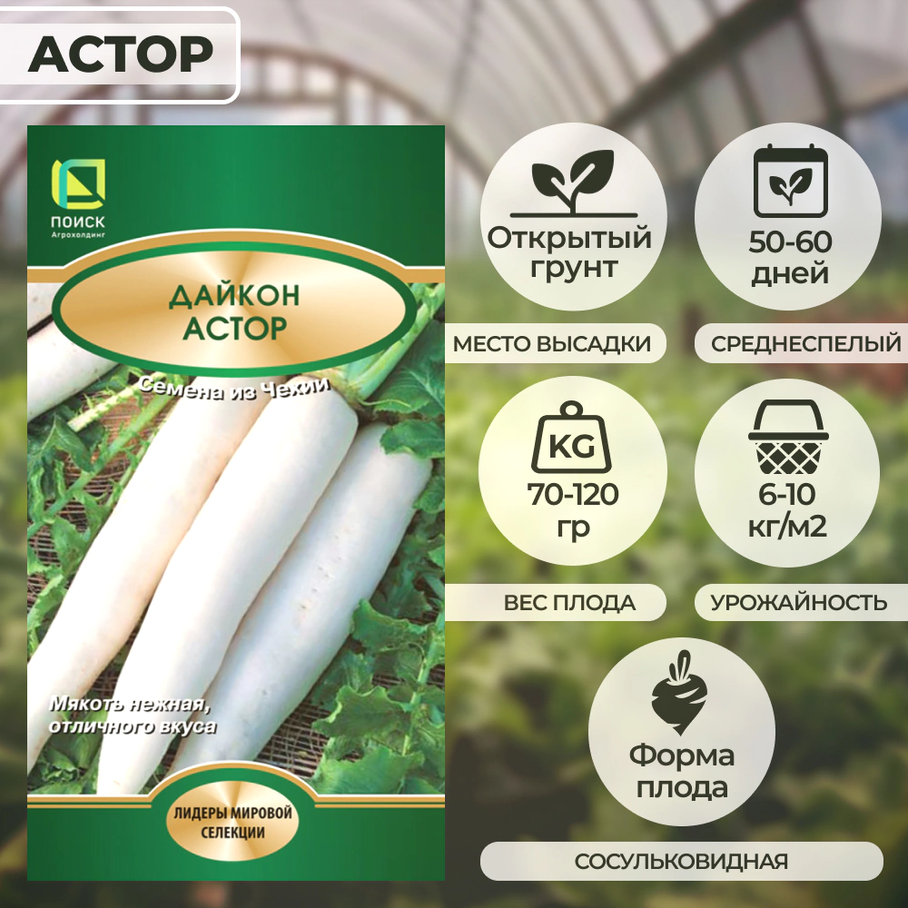 Дайкон Астор 1 г