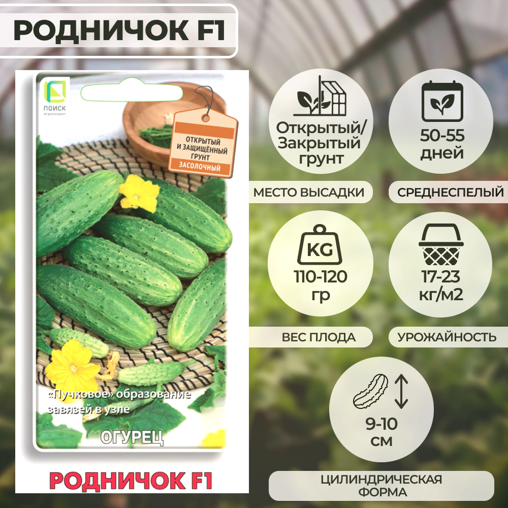 Огурец Родничок F1, 12 шт