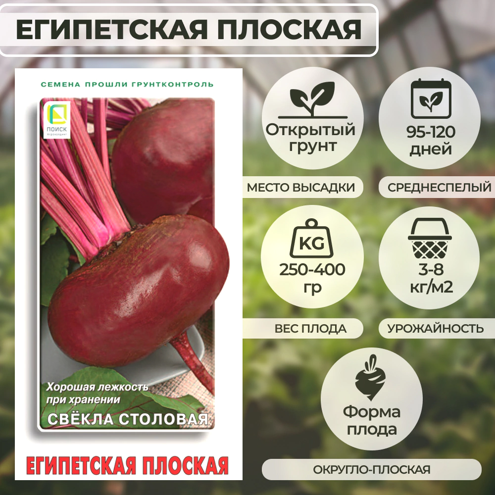 Свекла столовая Египетская плоская 3 г Поиск