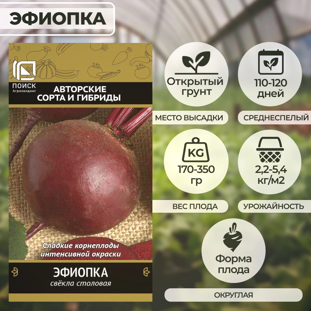 Свекла столовая Эфиопка 3 г