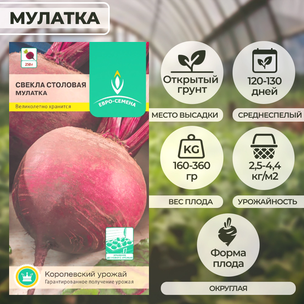 Свекла Мулатка 2 г Евросемена