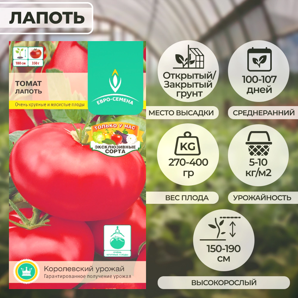 Томат Лапоть 0,1 г