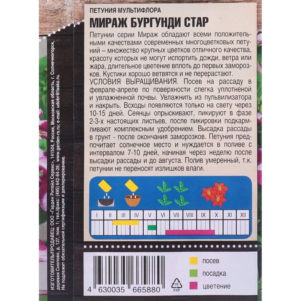 Петуния мультифлора Мираж Бургунди Стар 10 шт