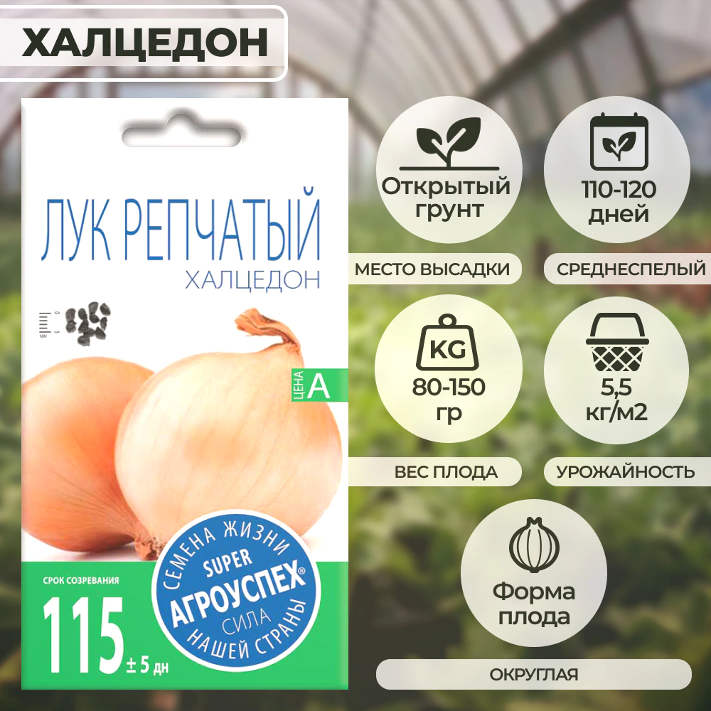 Лук репчатый Халцедон 0,5 г
