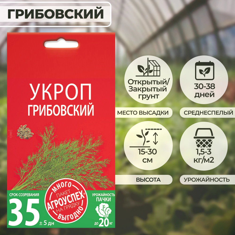 Укроп Грибовский 10 г