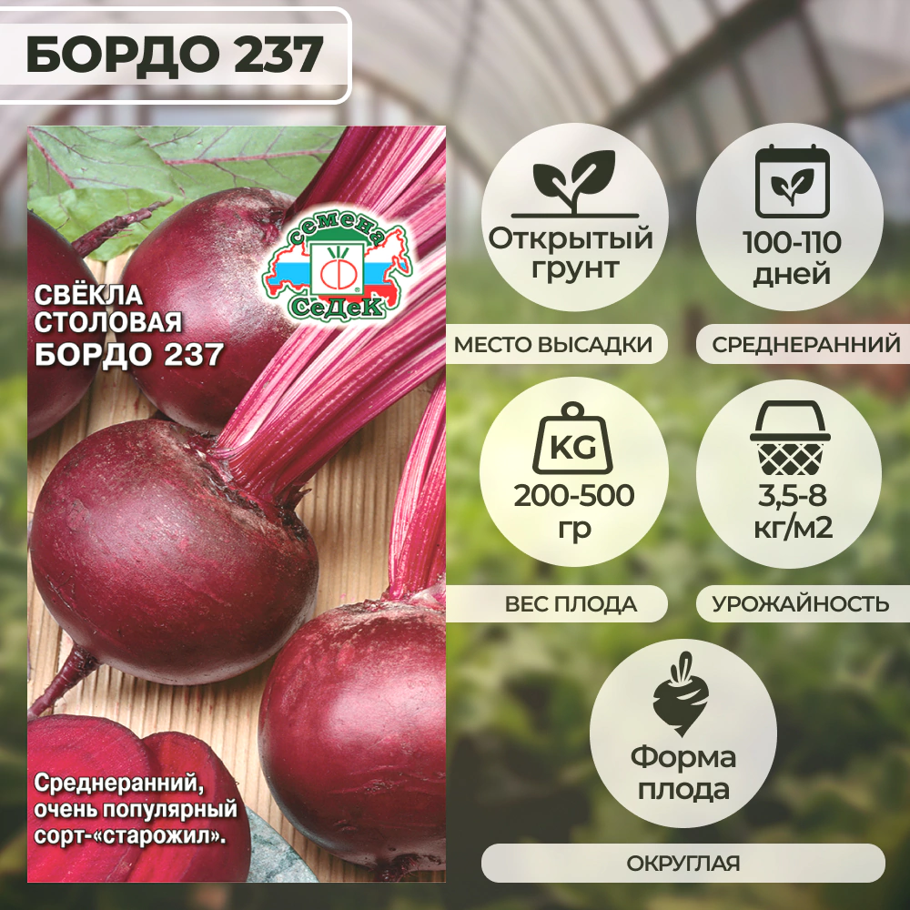 Свекла Бордо 237, 3 г Седек