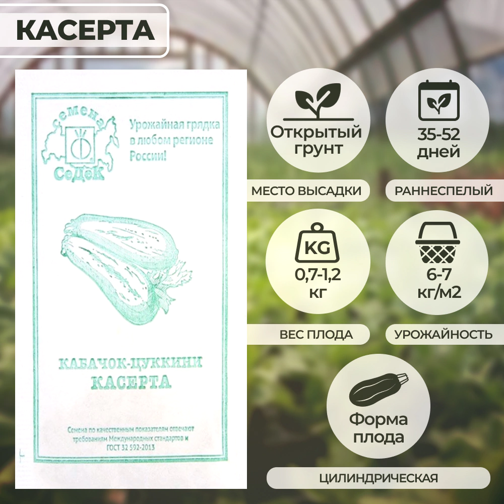 Кабачок Касерта 2 г