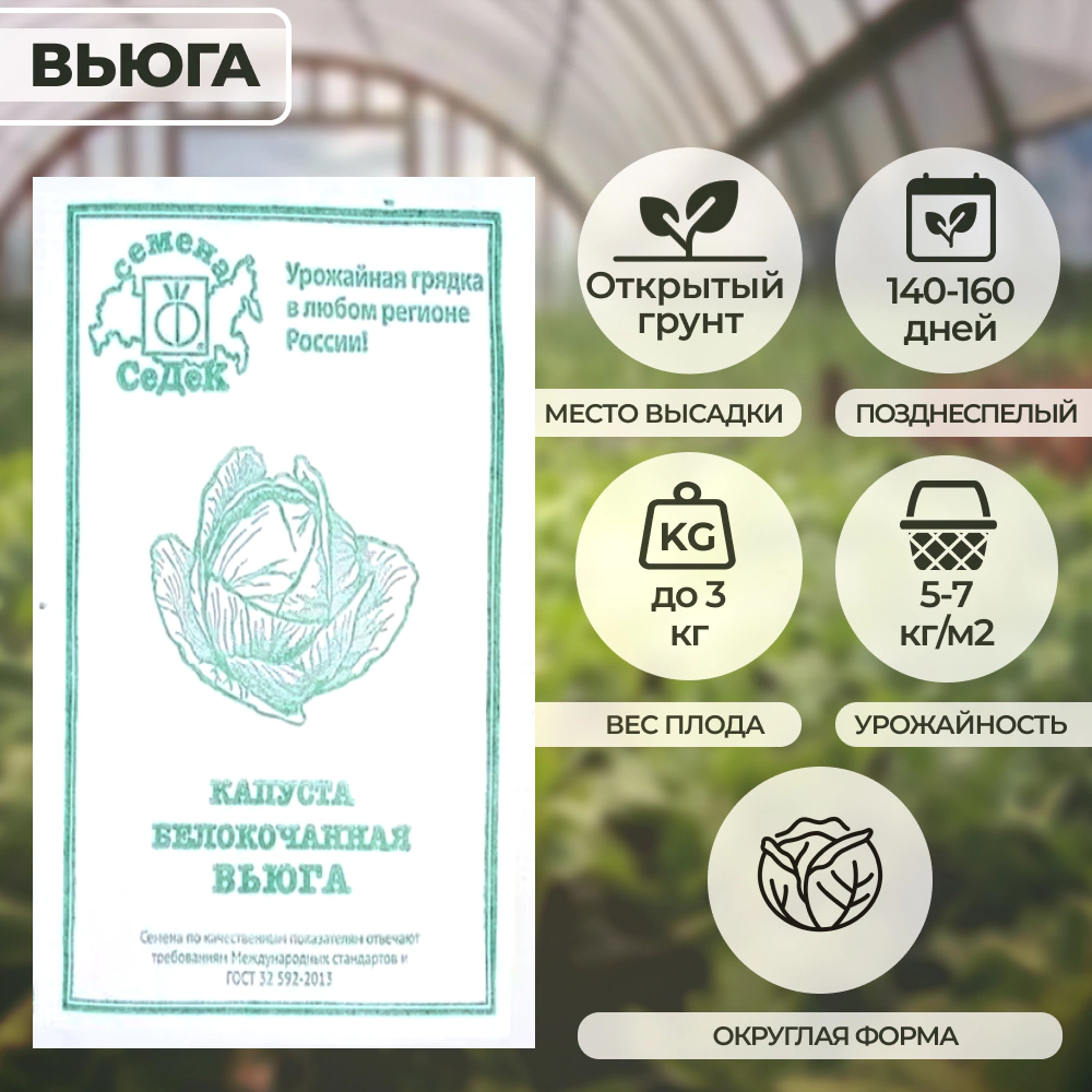 Капуста Вьюга 0,5 г