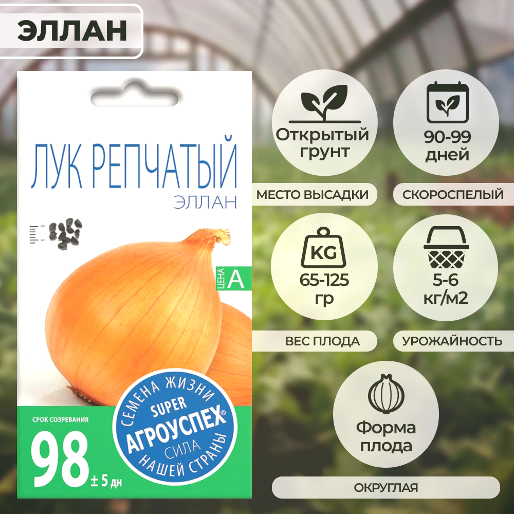 Лук репчатый Эллан 0,5 г