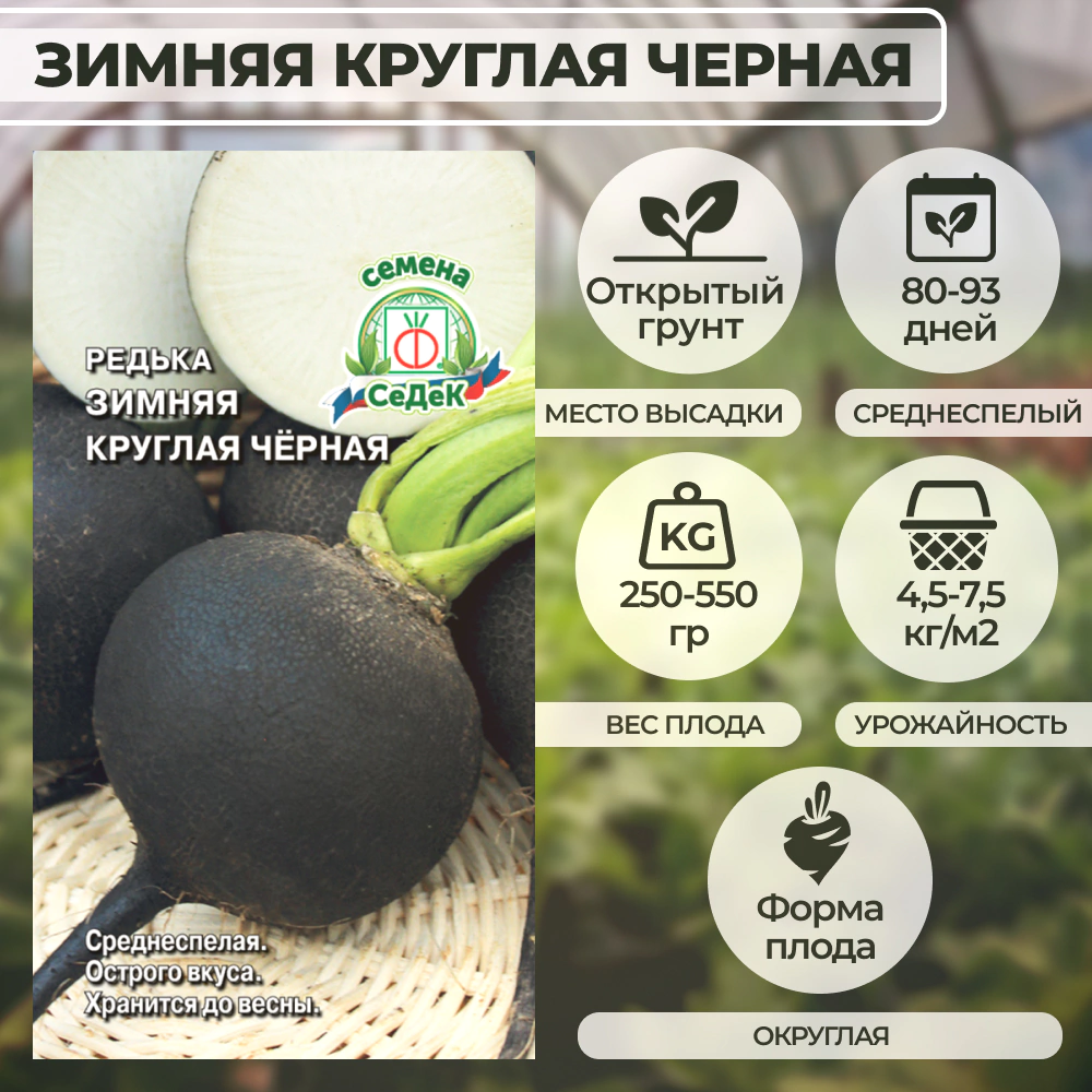 Редька Зимняя Круглая Черная 2 г