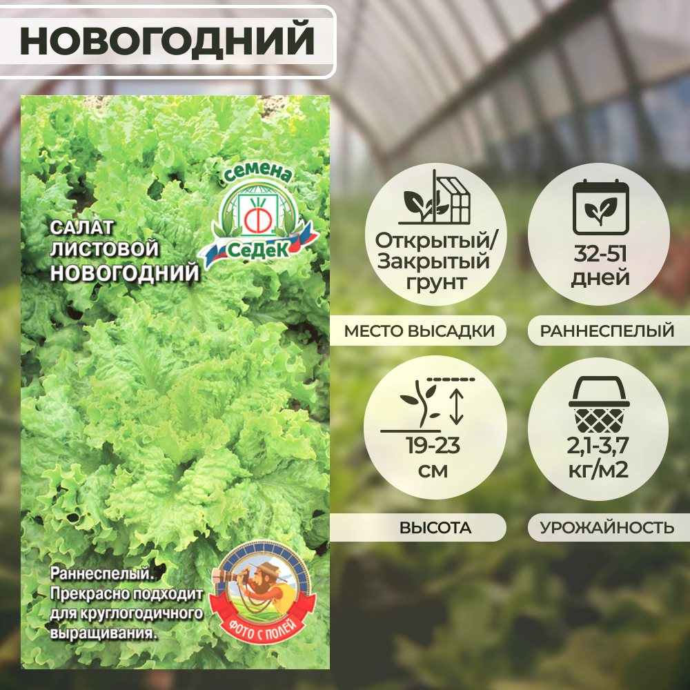 Салат листовой Новогодний 1 г