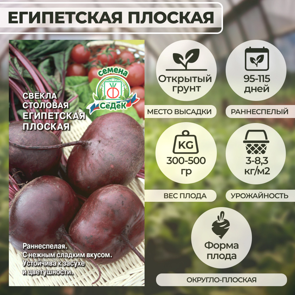 Свекла Египетская Плоская (столовая) 3 г