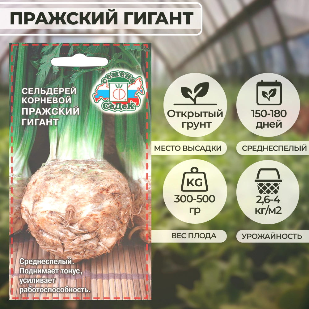 Сельдерей Пражский гигант (корневой) 0,5 г