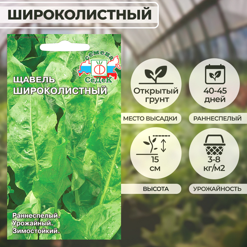 Щавель Широколистный Евро 0,5 г Седек