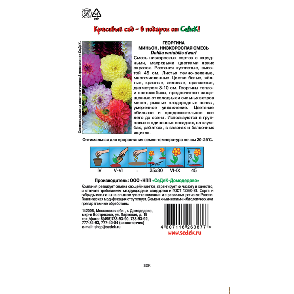 Георгина Миньон 0,2 г