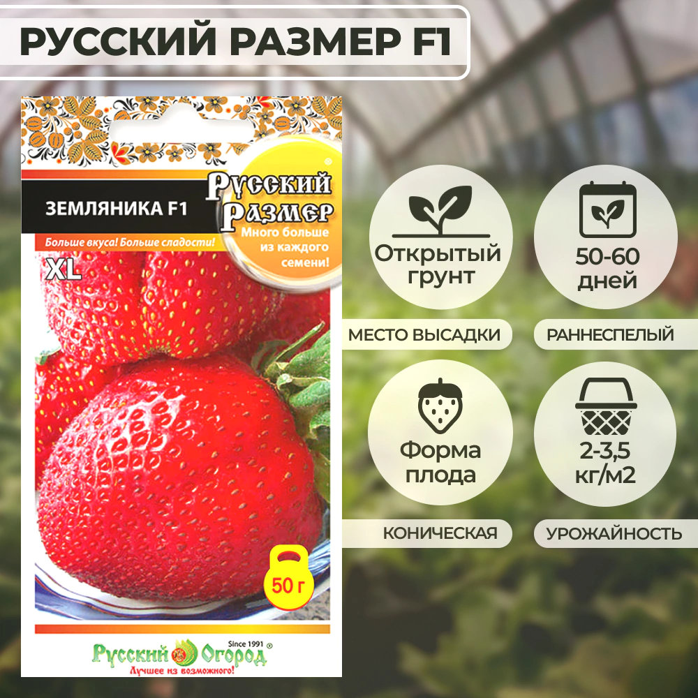 Земляника Русский размер F1, 8 шт