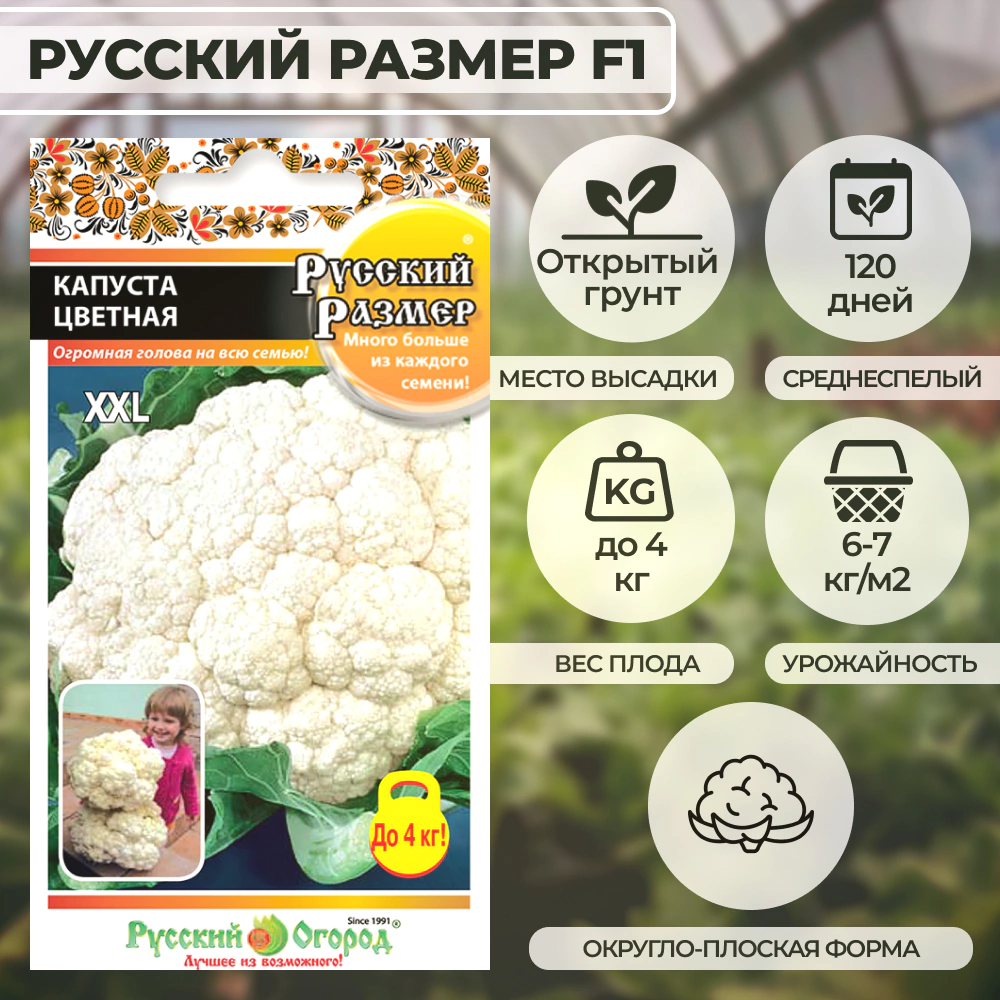 Капуста цветная Русский размер F1, 30 шт
