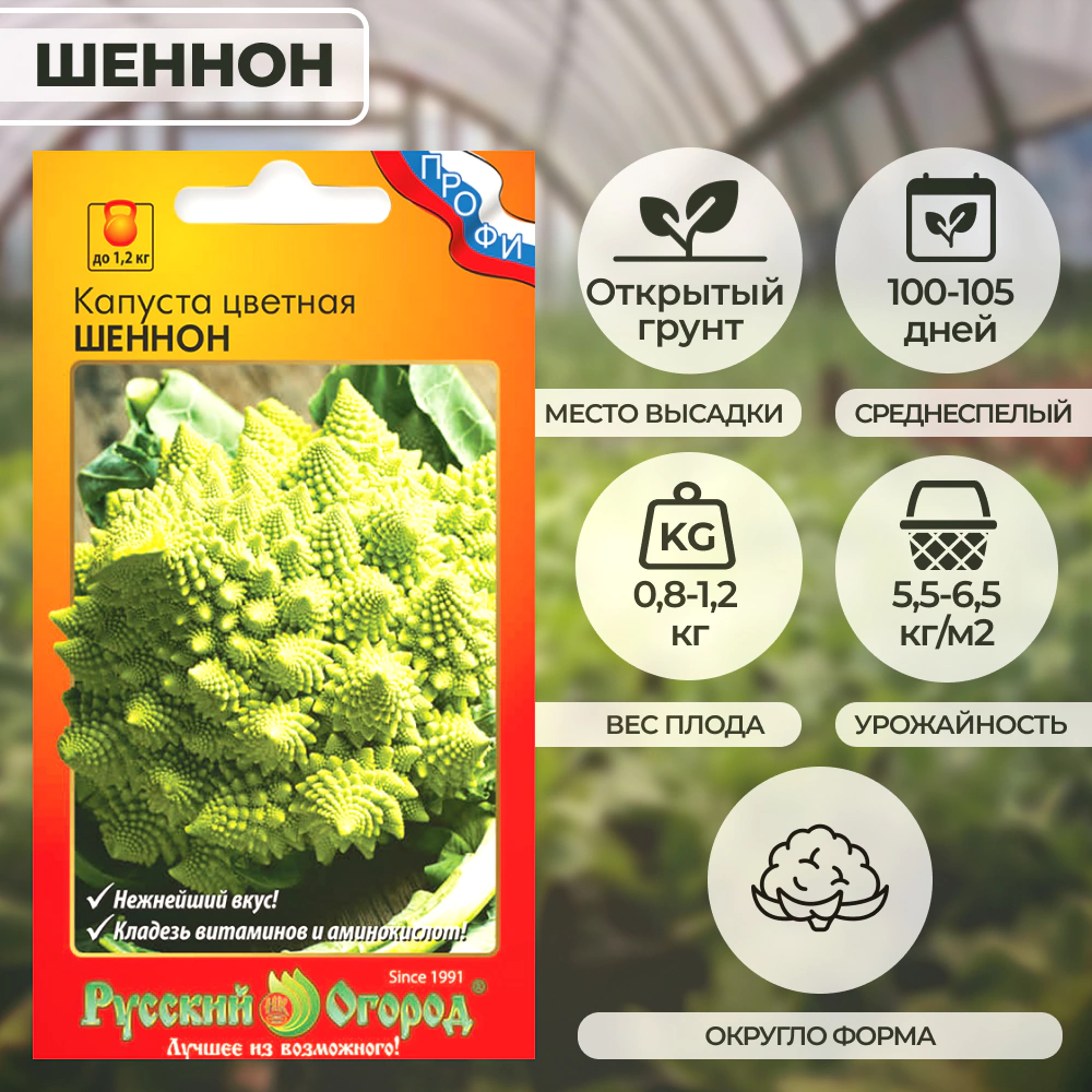 Капуста цветная Шеннон 12 шт