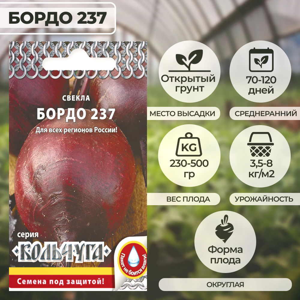 Свекла Бордо 237, 2 г Русский огород