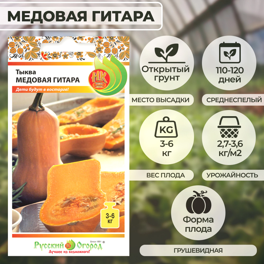 Тыква Медовая гитара 5 шт