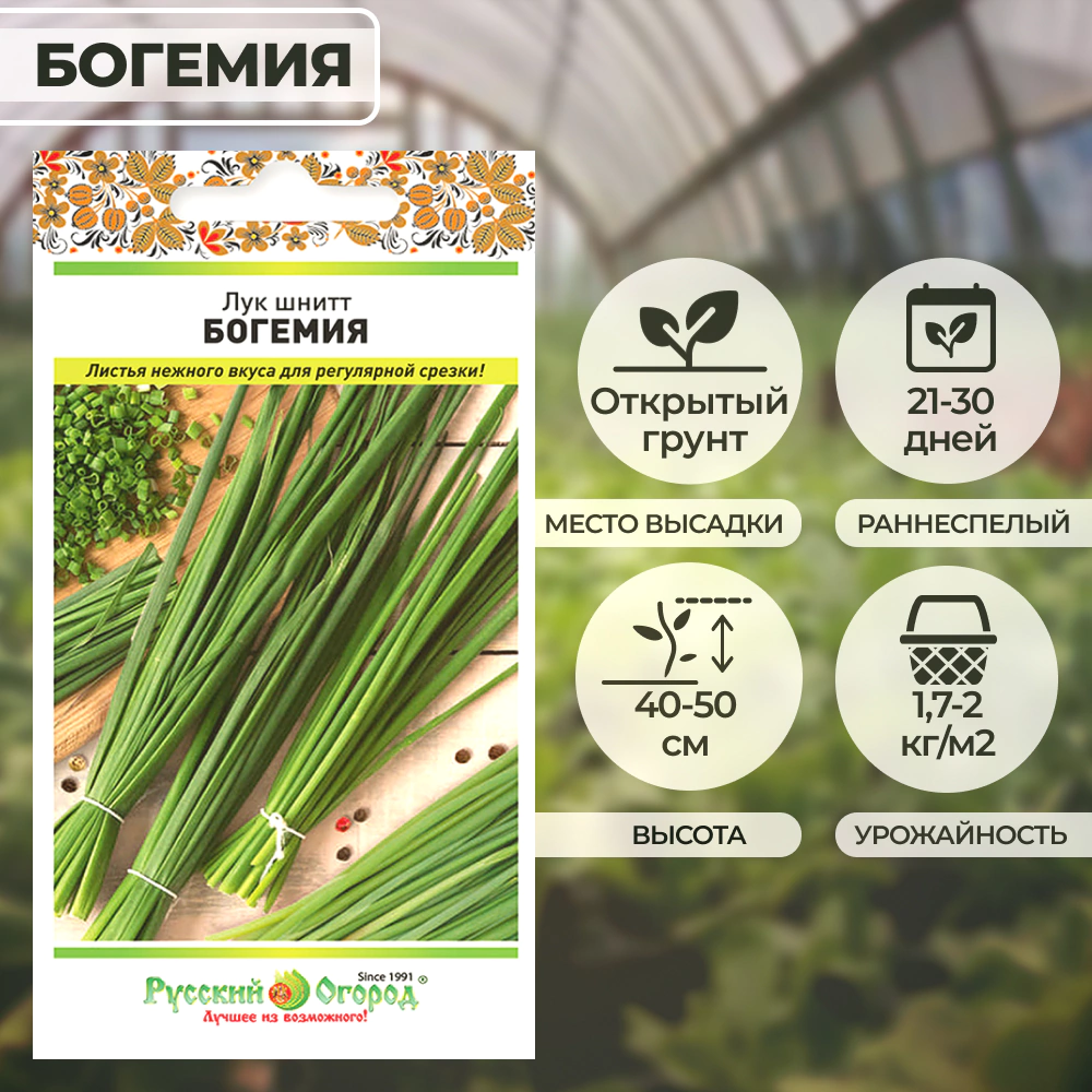 Лук шнитт Богемия 0,5 г Русский огород