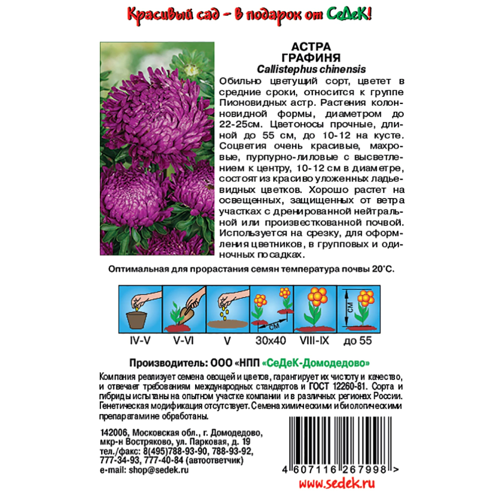 Астра Графиня (китайская) 0,2 г