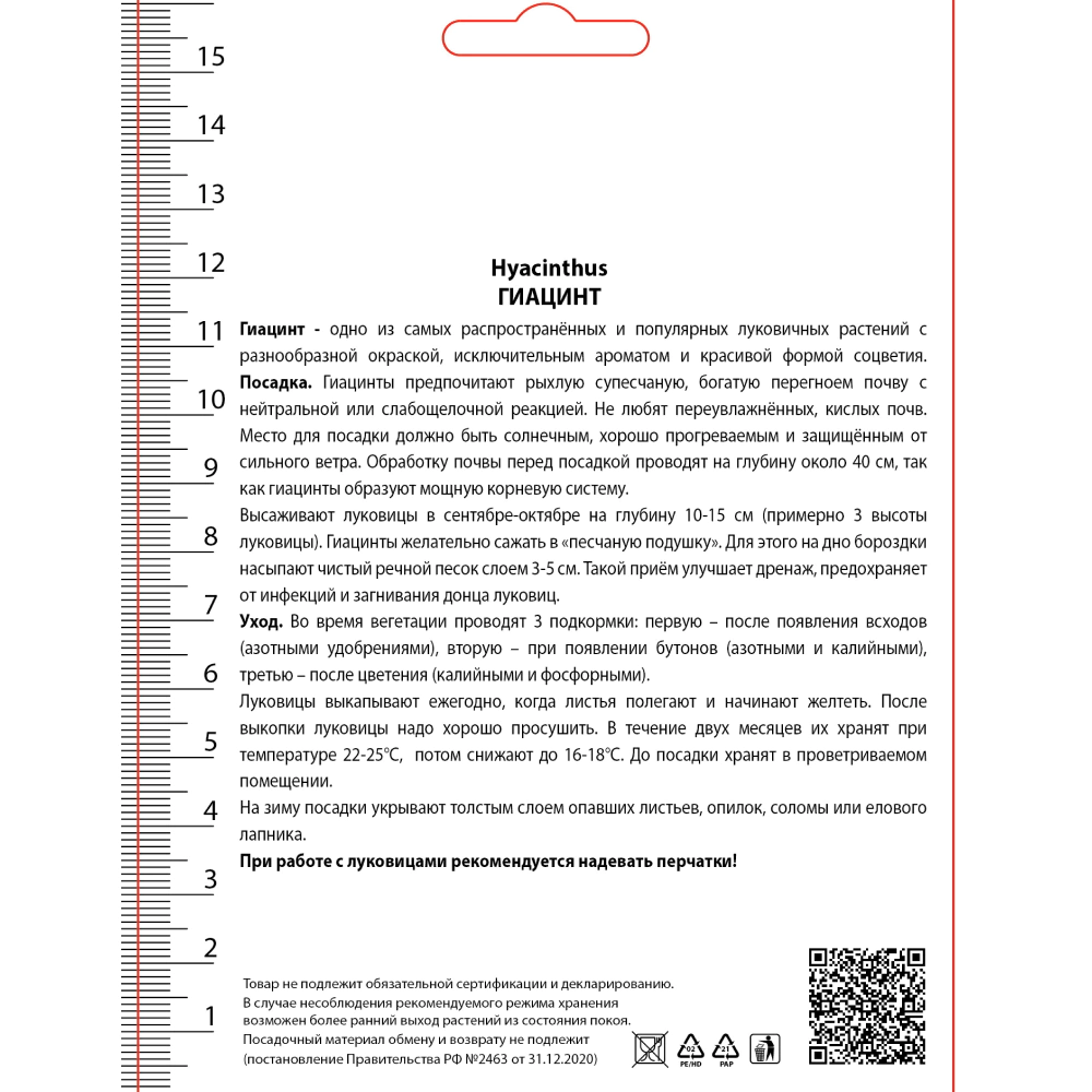 Гиацинт садовый Пепл Стар 3 шт