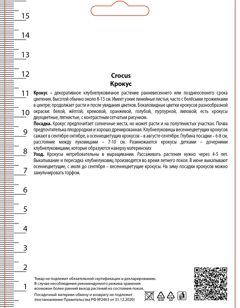 Крокус крупноцветковый Уэйл Шарк 10 шт