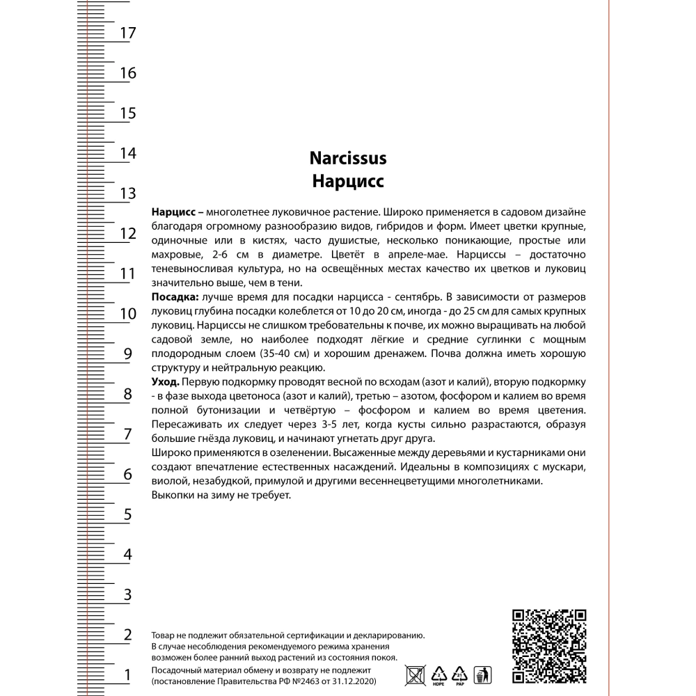 Нарцисс трубчатый Марта Стюарт 5 шт