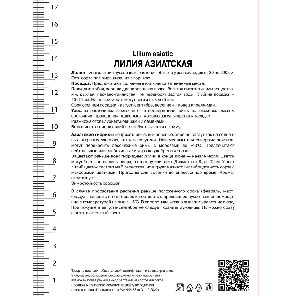 Лилия азиатская махровая Голд Твин 2 шт Поиск