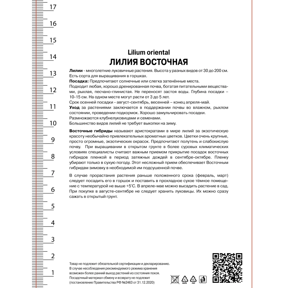 Лилия восточная махровая Лотус Пьюр 1 шт