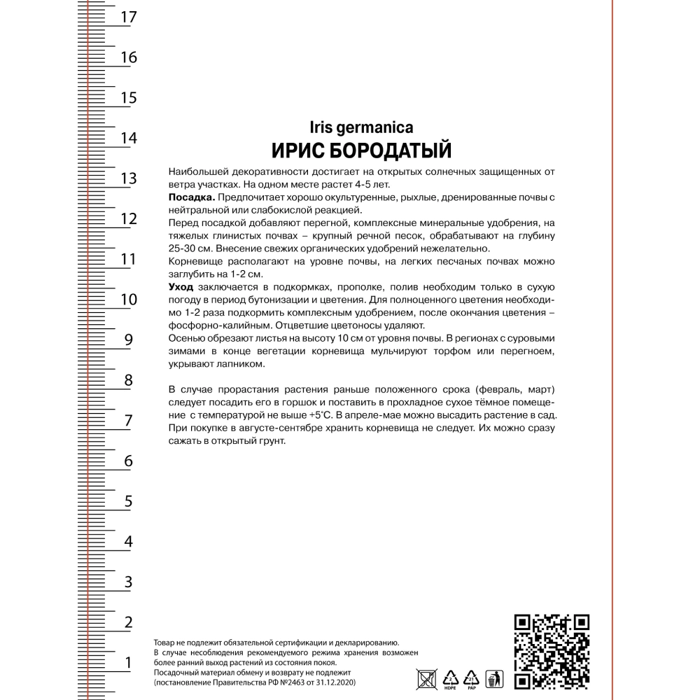 Ирис бородатый Принц ов Бургунди 1 шт