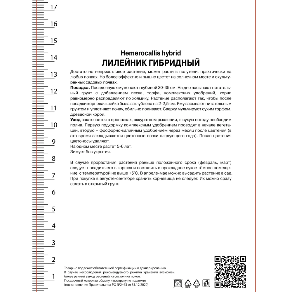 Лилейник гибридный Макбет 1 шт