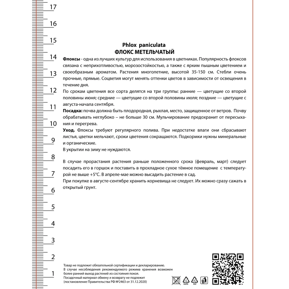 Флокс метельчатый Зенобия 1 шт