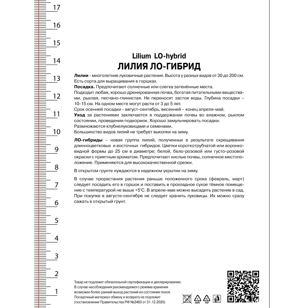 Лилия ЛО-гибрид Триумфатор 3 шт